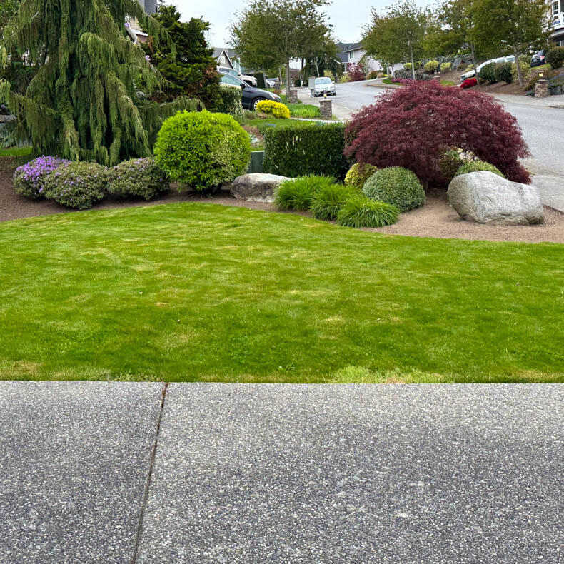 Front Yard Landscaping