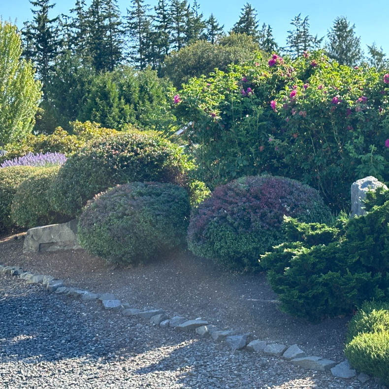 Landscaping