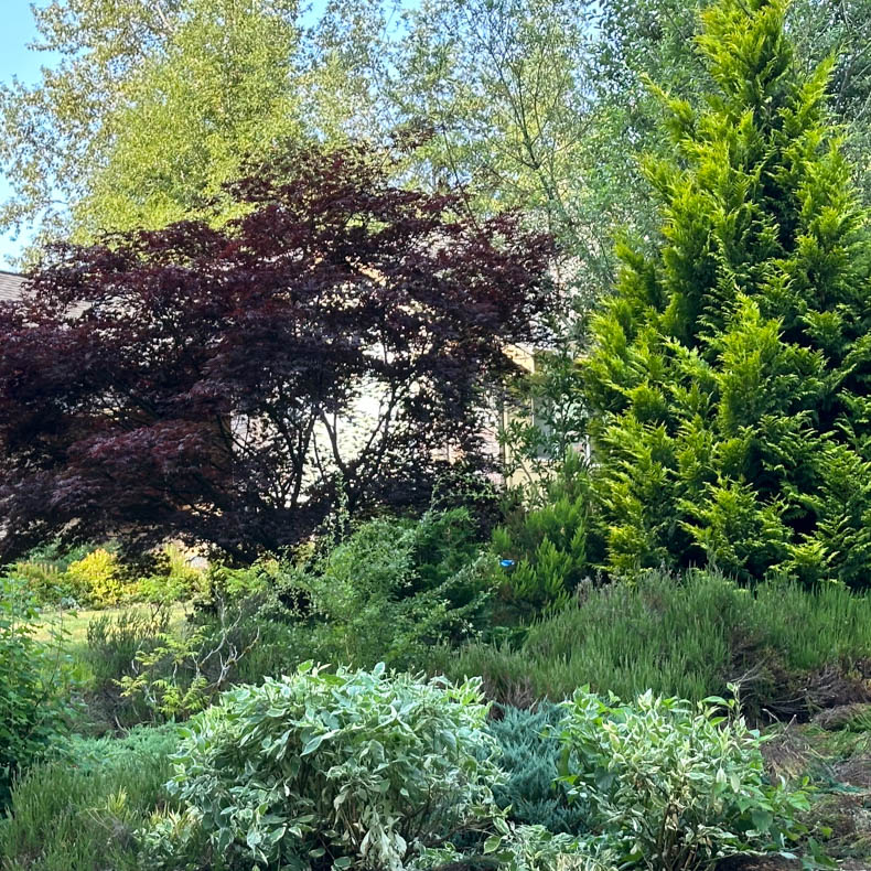 Varied Landscaping
